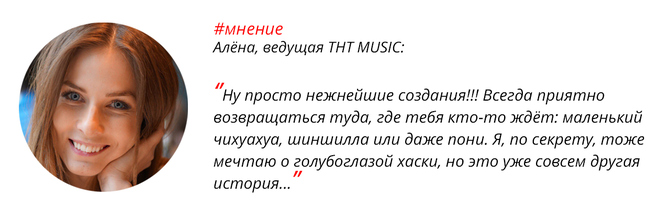Звёздное зверьё