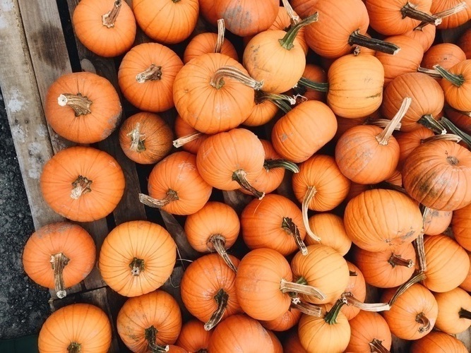 Лучшие треки для Halloween Party