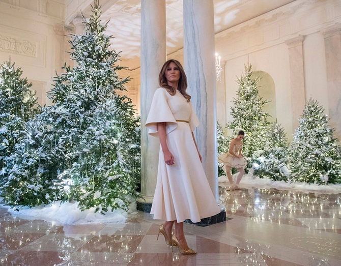 Мелания Трамп в Белом доме / Фото: tmz.com