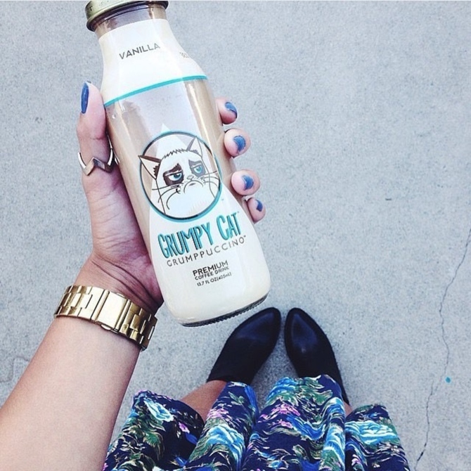 Grumppuccino / Фото: Courthouse News 