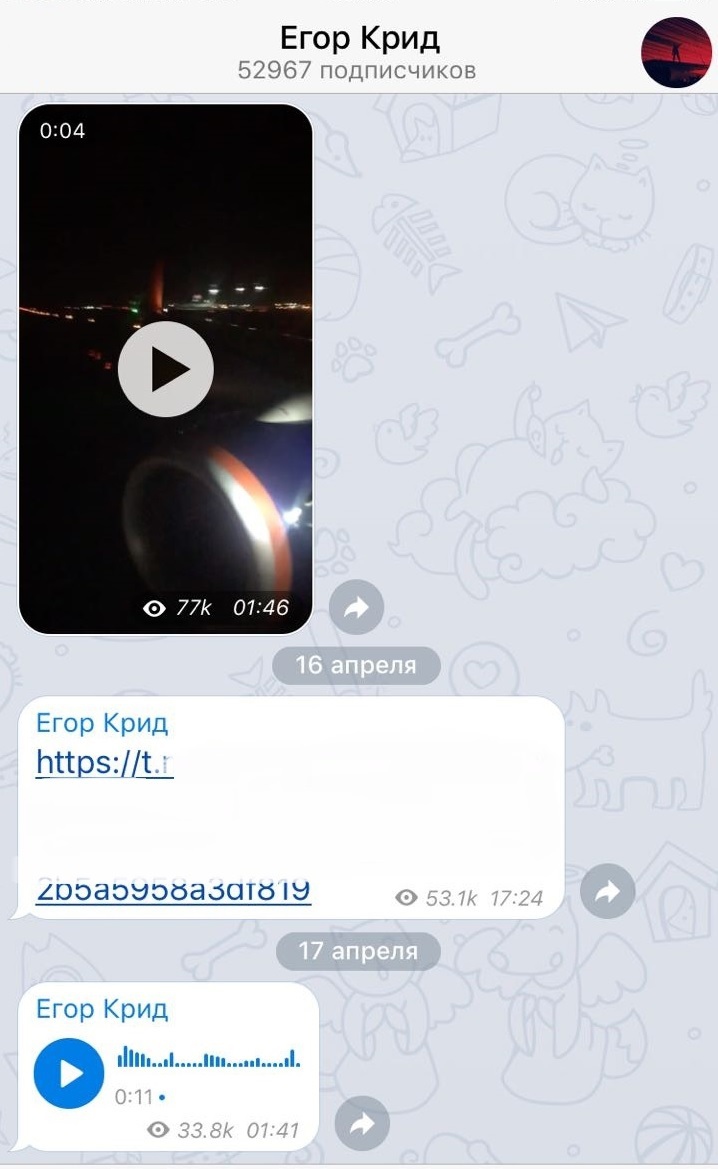 Telegram: как звезды отреагировали на блокировку?