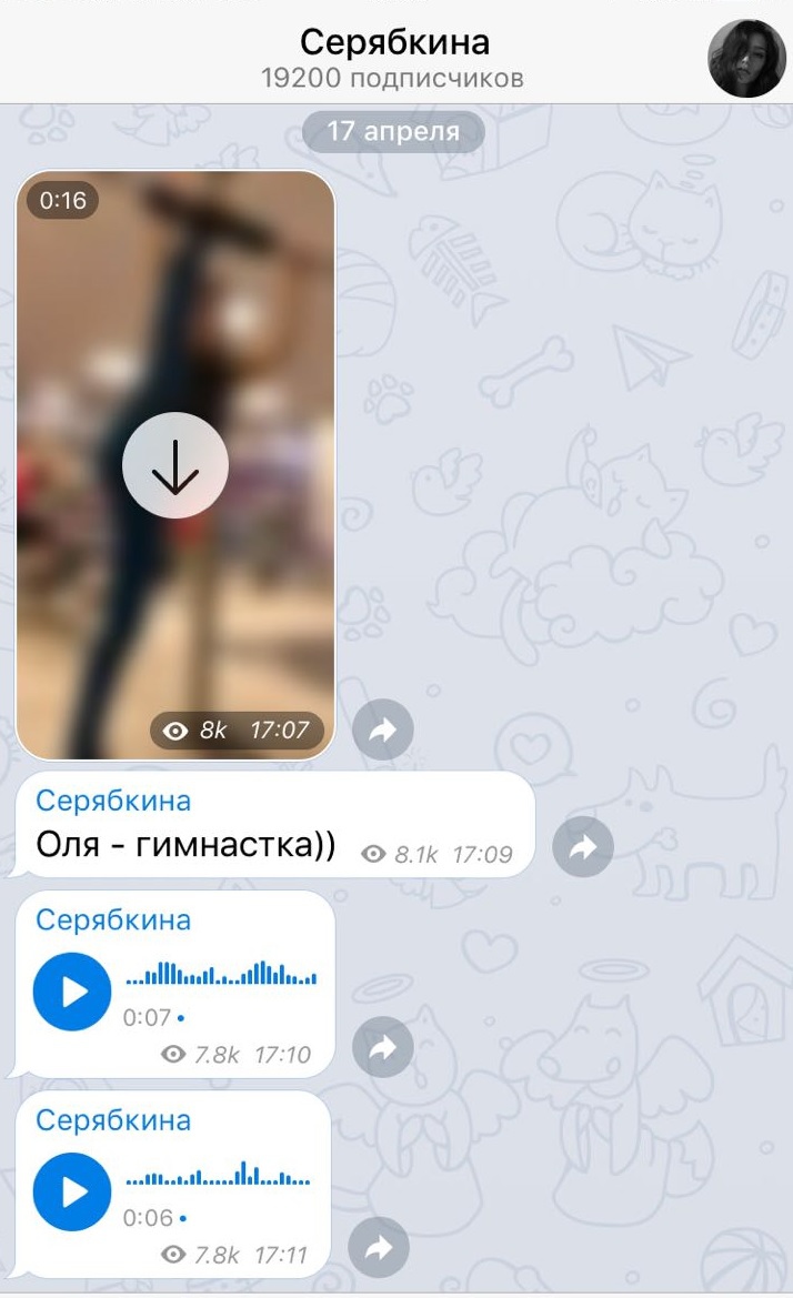 Telegram: как звезды отреагировали на блокировку?