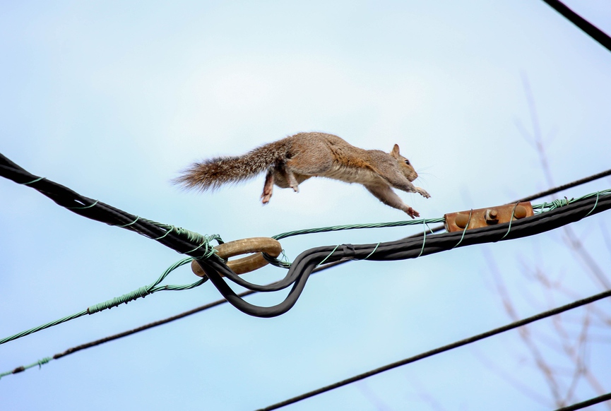 Фото: pixabay.com
