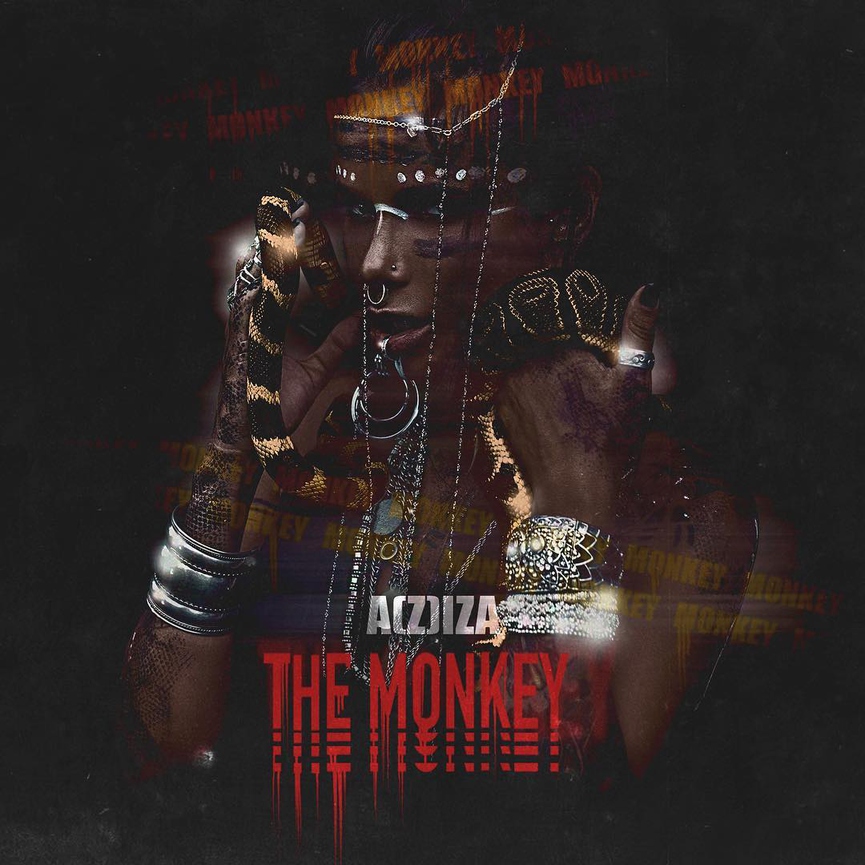 Весно Айза Анохина презентовала сольный EP «The Monkey» Фото: Обложка альбома