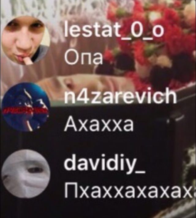 Через несколько секунд над Хаски закроют крышку гроба​Фото: Instagram