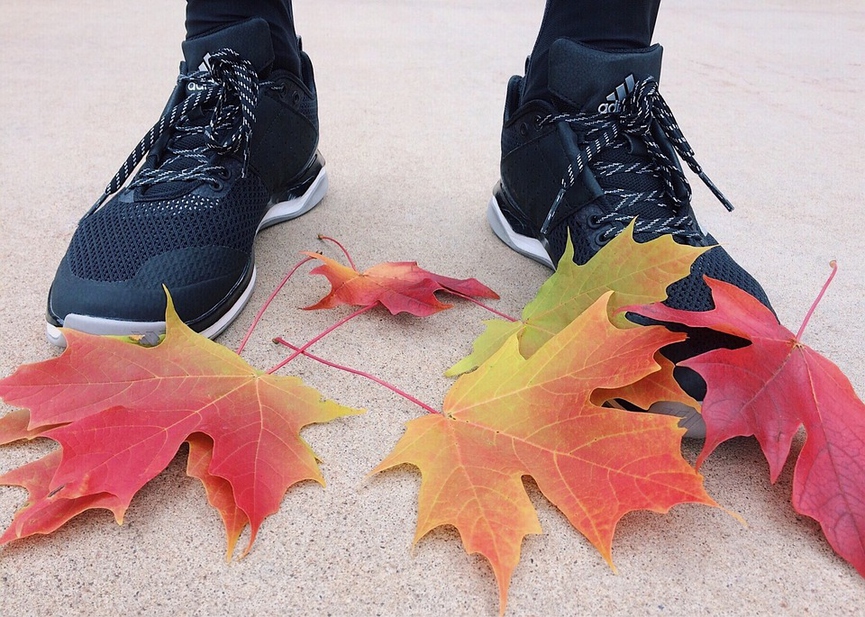 Фото: pixabay.com