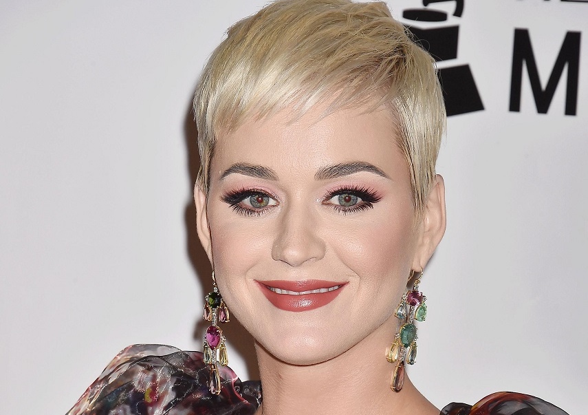 Певицы мирно поделили одну гармонию на двоих​Фото: legion-media.ru