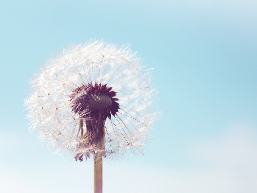 Фото: pixabay.com