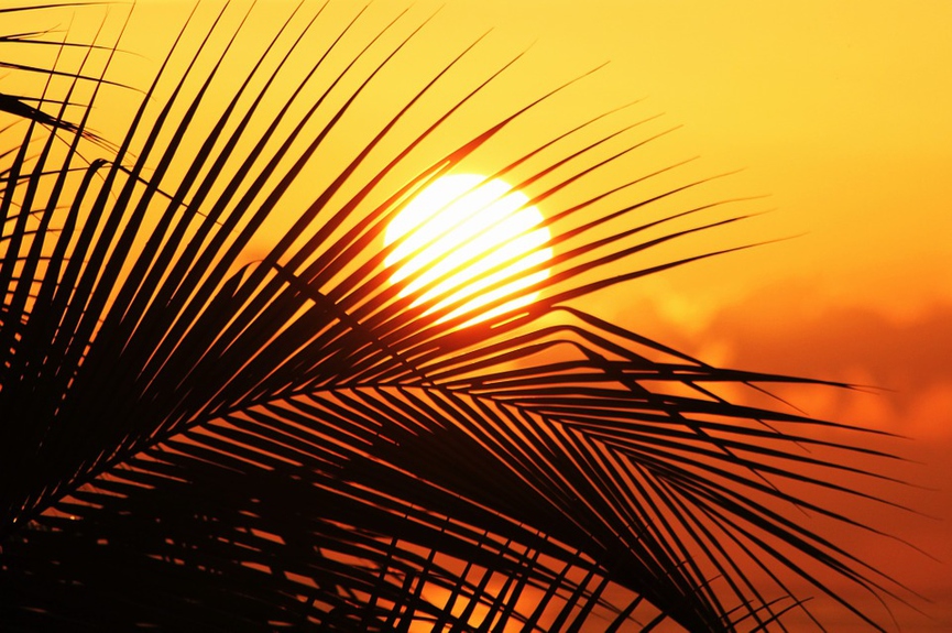 Фото: pixabay.com