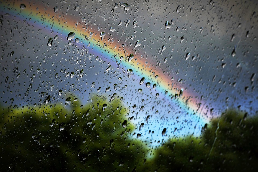 Фото: pixabay.com