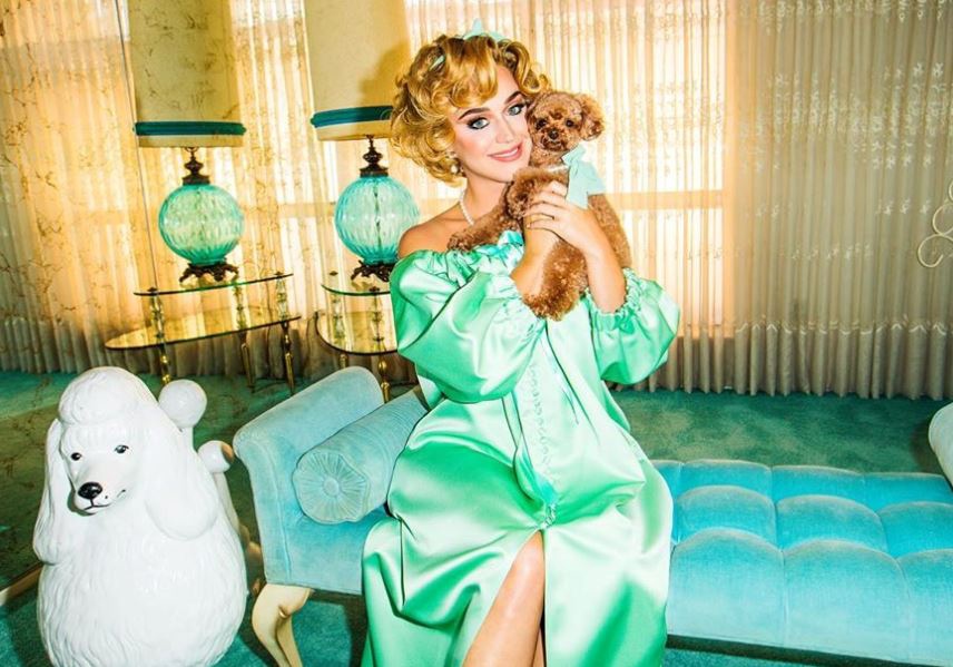 Кэти Перри держит на руках домашнего любимца Nugget'аФото: кадр из клипа