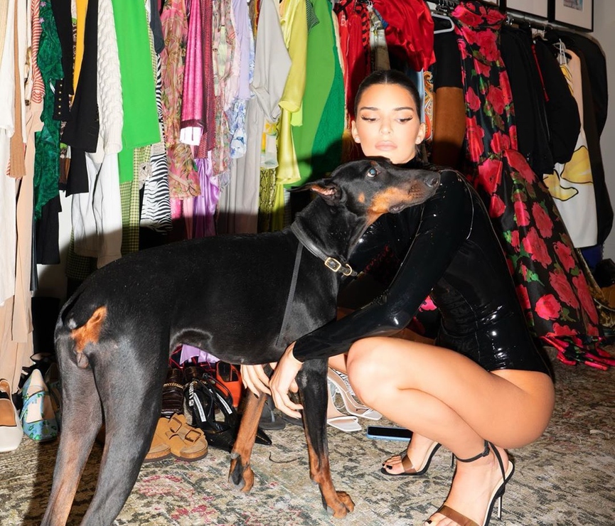 Кендалл Дженнер​Фото: Instagram