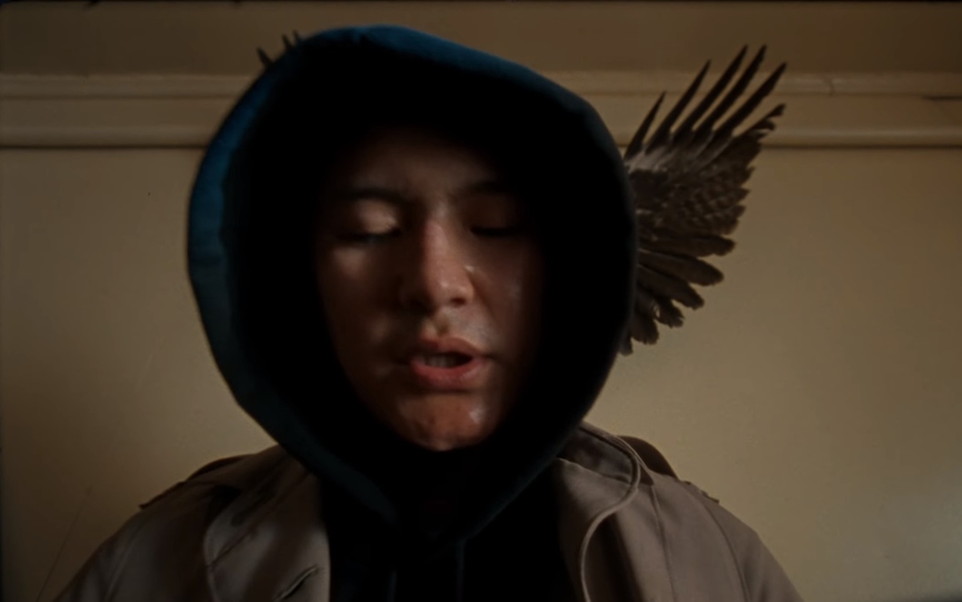 Масло чёрного тминаФото: кадр из видео