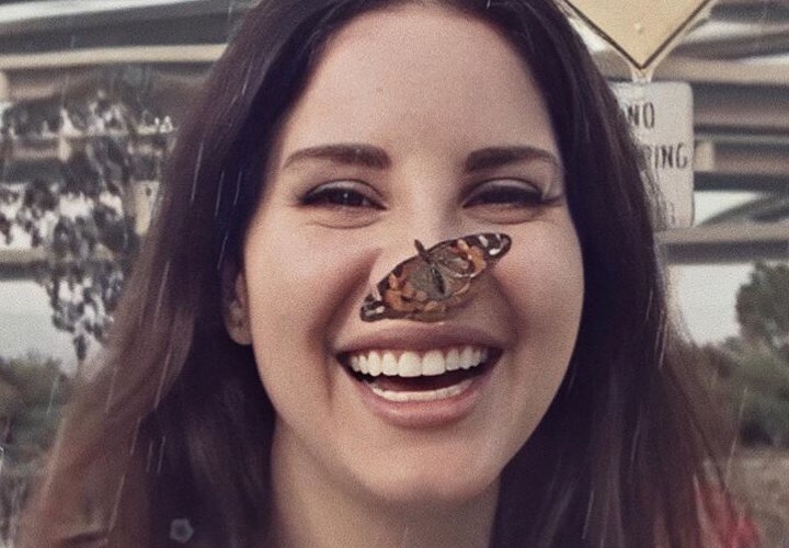 Лана Дель Рей​Фото: Instagram