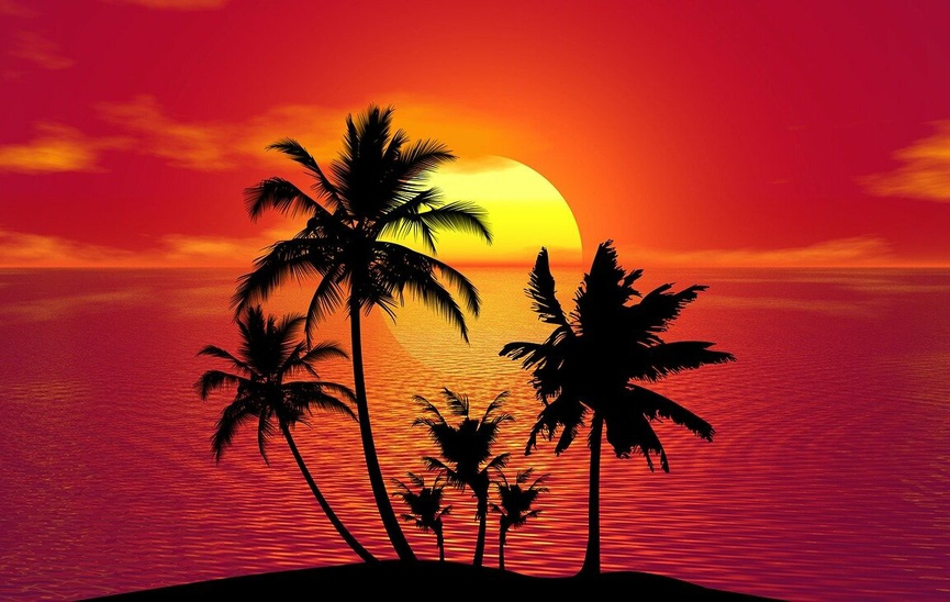 Фото: pixabay.com
