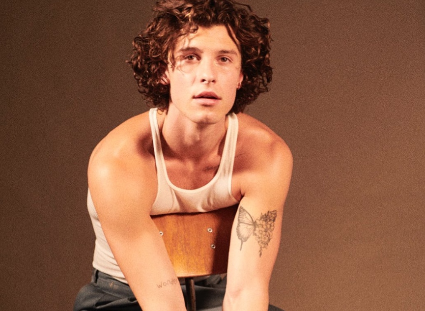 Шон Мендес​Фото: Instagram