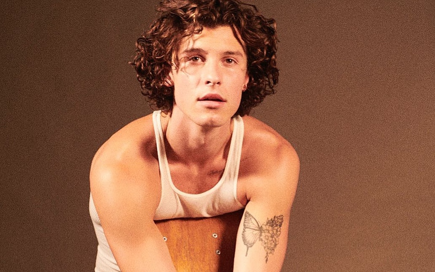 Шон Мендес​Фото: Instagram