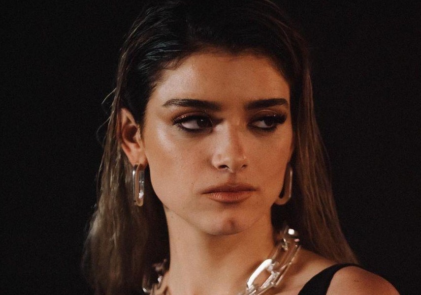 Дикси Д'Амелио​Фото: Instagram 