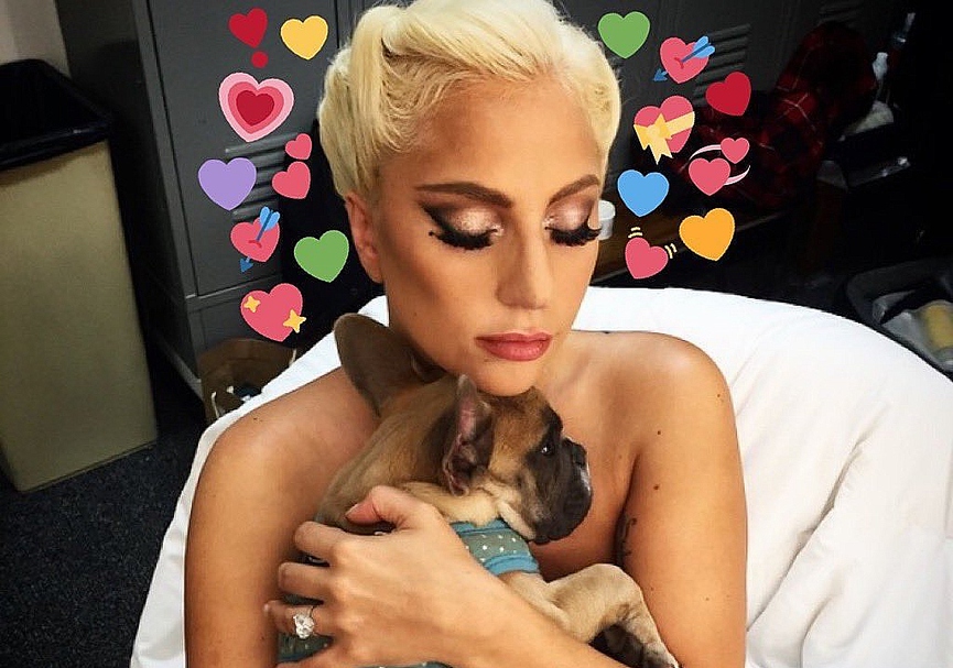 Леди Гага и Коджи​Фото: Instagram