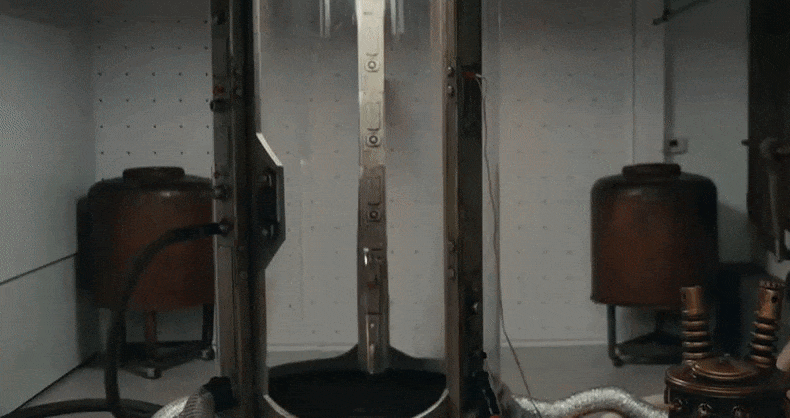 Поющий TikTok: 10 главных артистов-блогеров мира