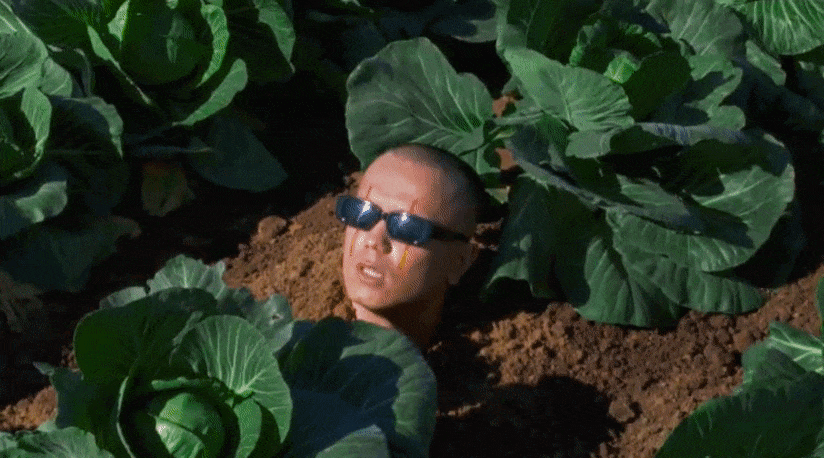 Dose и ЛСП встречают лето в ролике «Солнце золотое»