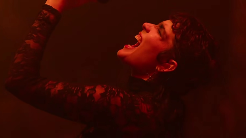 ХолзиКадр из видео «Nightmare»