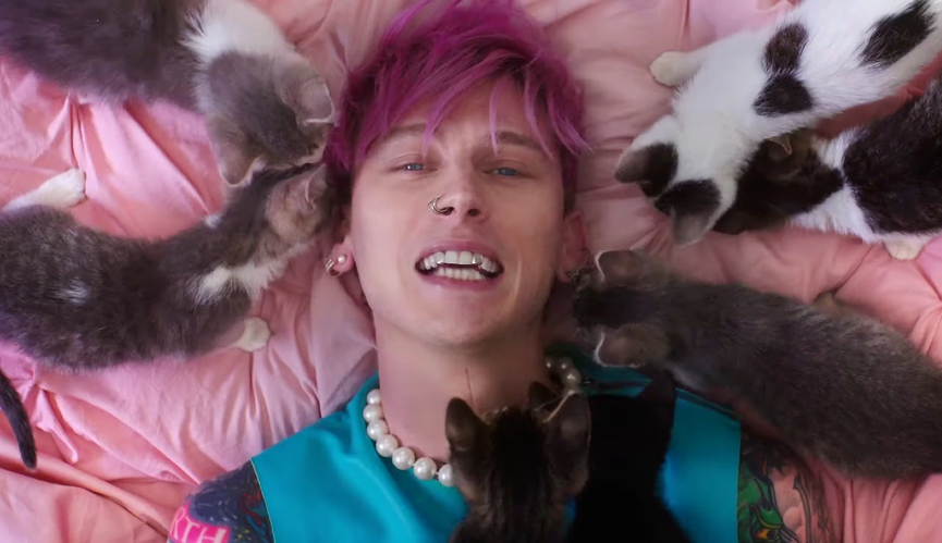 MGKФото: кадр из видео