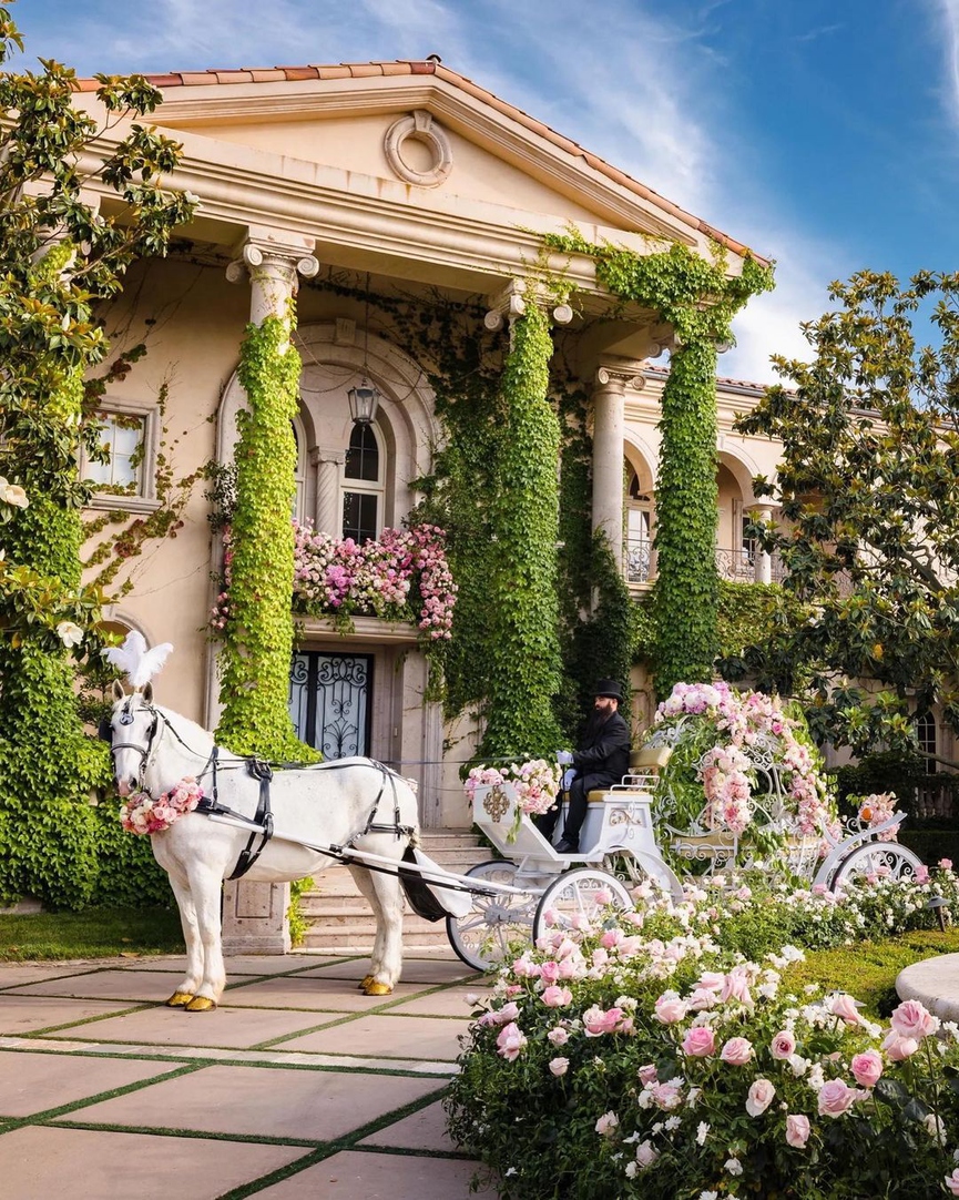 Фото: соцсети